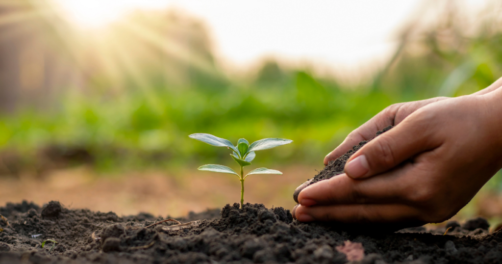 Agriculture Research Scholars
